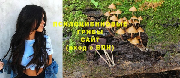 mdpv Абдулино